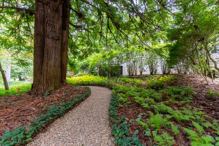 Garden path at Ivy Terrace