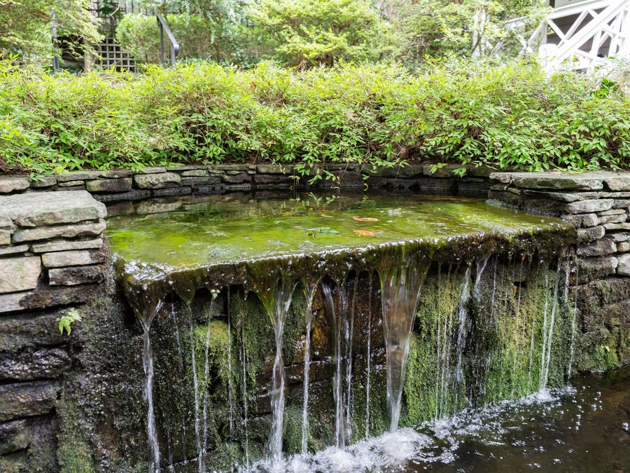 Koi pond and water feature