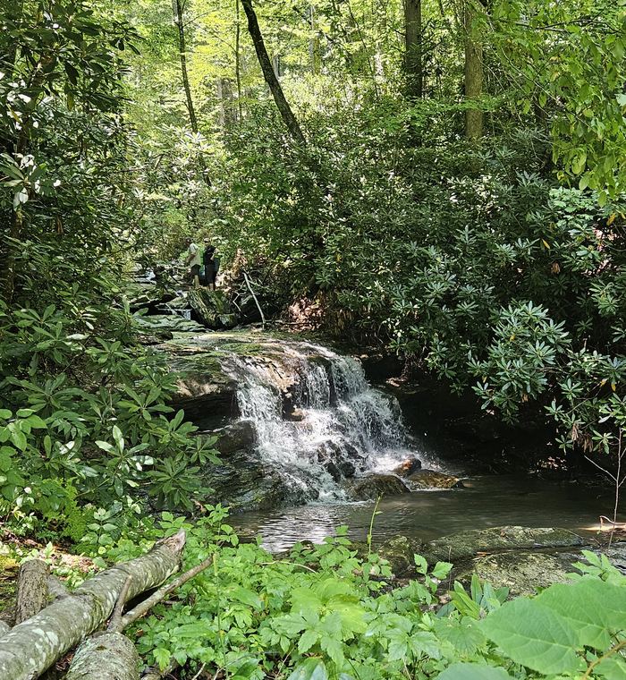 Local waterfall hike